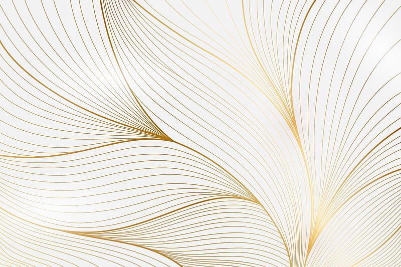 Gold Background . Vectors, Stock & PSD, White Gold, HD wallpaper