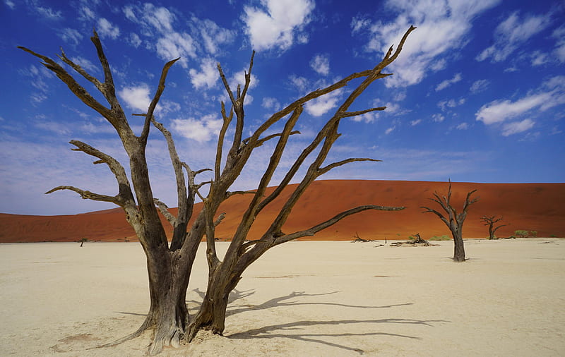 Dead trees in Deadvlei clay pan, Namib-Naukluft Park, Namibia, hills, clouds, sky, landscape, HD wallpaper