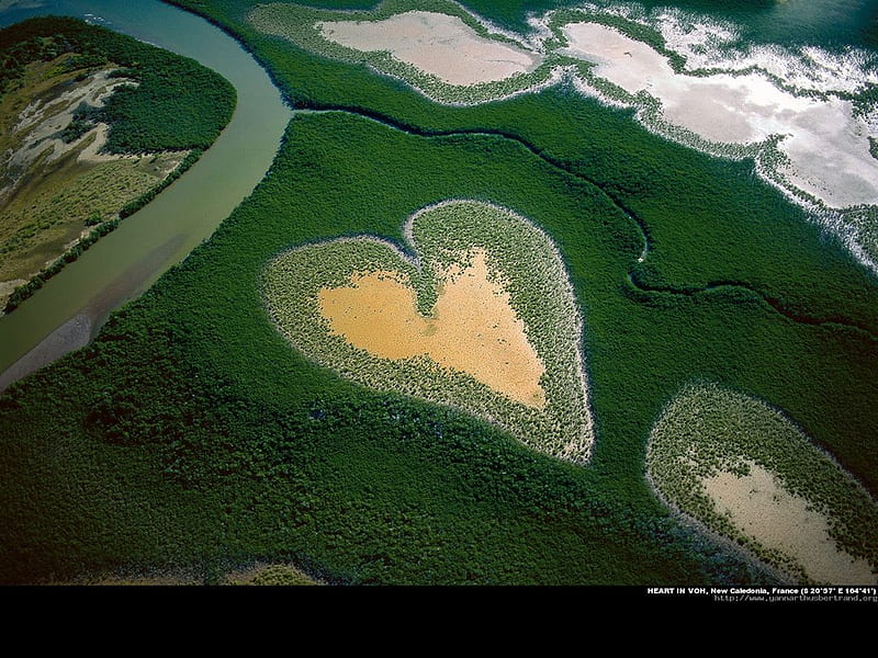 Heart in Voh New Caledonia French Overseas, green, heart, nature, forests, new caledonia, HD wallpaper
