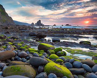 Rocky Beach Scene, alga, coast, mountains, rock, stones, sunrise, HD  wallpaper | Peakpx