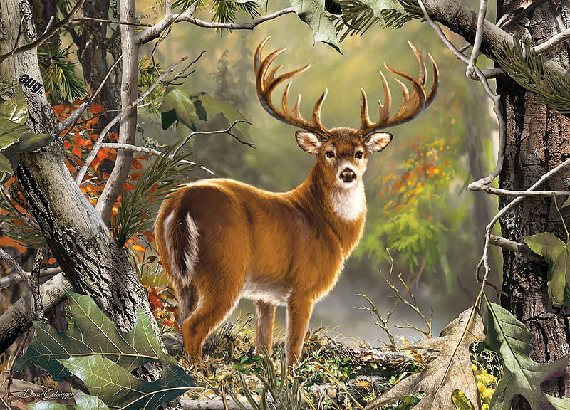 Mule Deer, forest, mule, nature, puzzle, deer, HD wallpaper