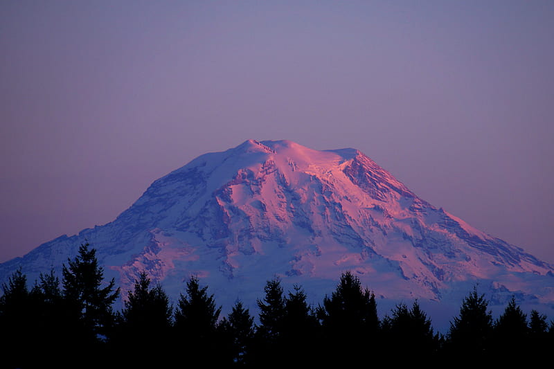 mountain, peak, snowy, twilight, trees, HD wallpaper