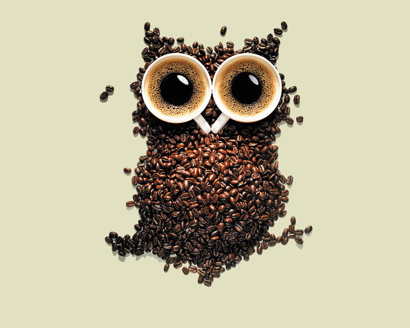 wide awake, owl, humor, coffee, bird, funny, beverage, HD wallpaper