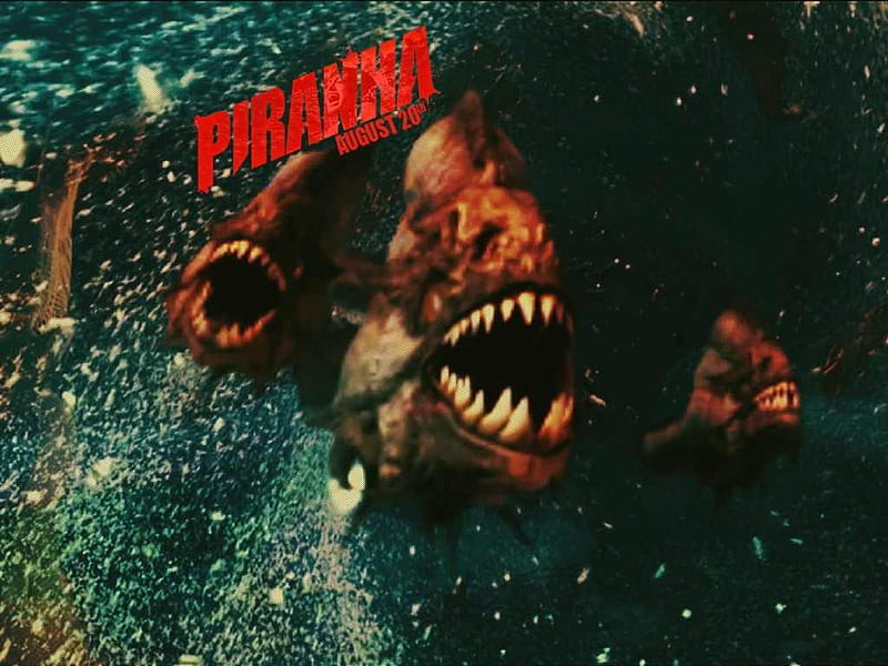 Piranha 3D (2010), films, horror, excitement, entertainment, HD wallpaper