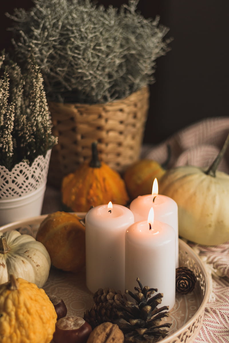 candles, flame, halloween, pumpkins, pine cones, HD phone wallpaper