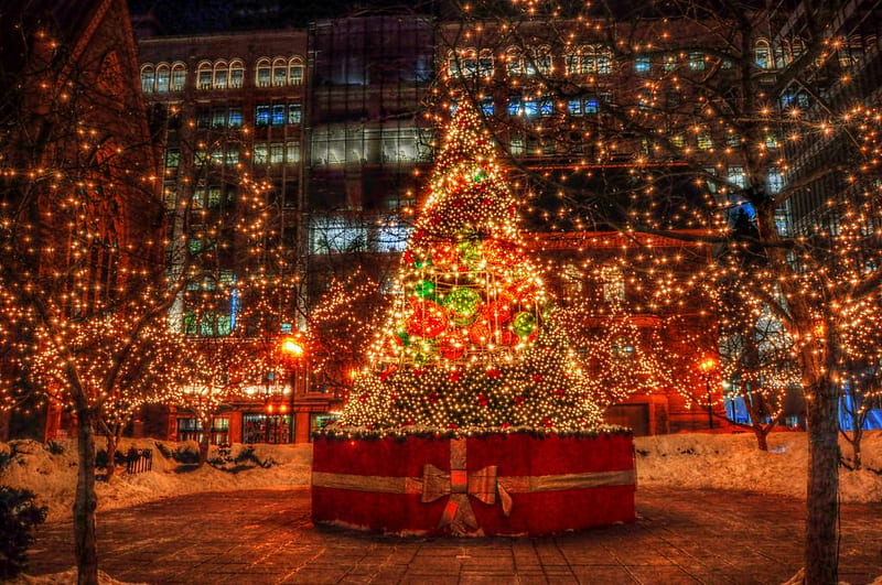 Merry Christmas DN Friends, christmas tree, city, lights, stores, greetings, HD wallpaper