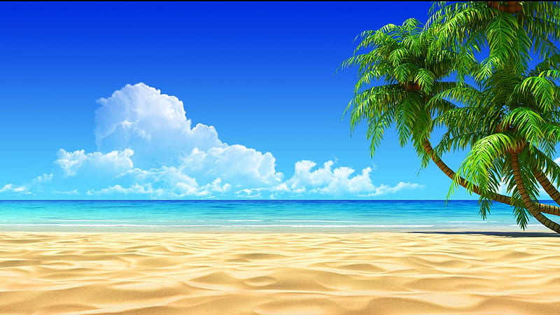 Palm Beach, beach, sand, nature, palm, trees, clouds, sea, HD wallpaper