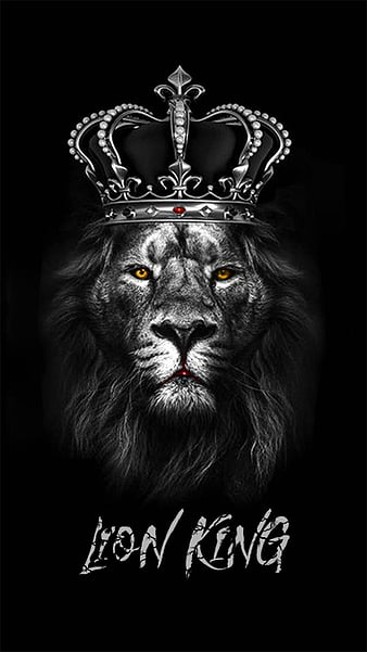 King, black, lion, lions, HD phone wallpaper