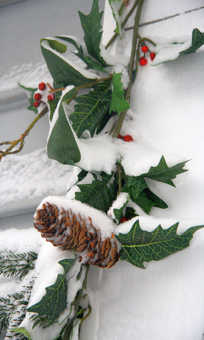 The Holy and the Ivy, berries, christmas, holiday, music, pinecone, snow, song, HD phone wallpaper