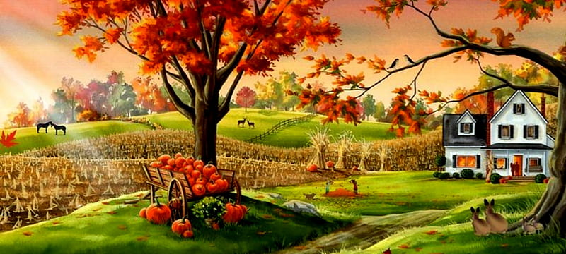 Thanksgiving For Everything, Home, Havest, Field, House, Autumn, Apples, Corn, Trees, Thanksgiving, Pumpkins, HD wallpaper