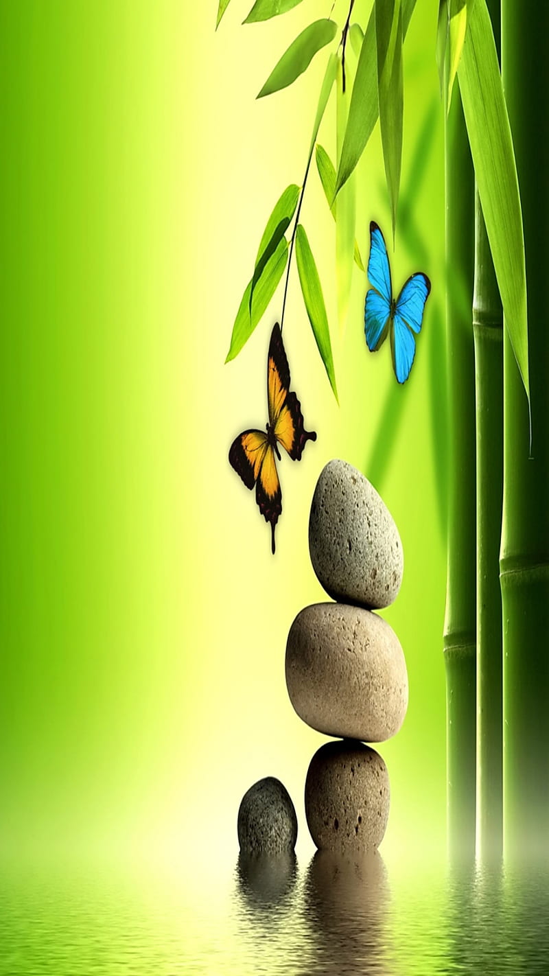 Spa Stones, bamboo, butterflies, cool, lovely, nature, water, HD phone wallpaper