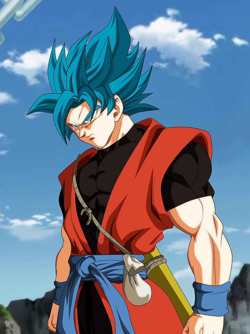 Download Experience Powerful Superhero Warriors in Dragon Ball Heroes  Wallpaper