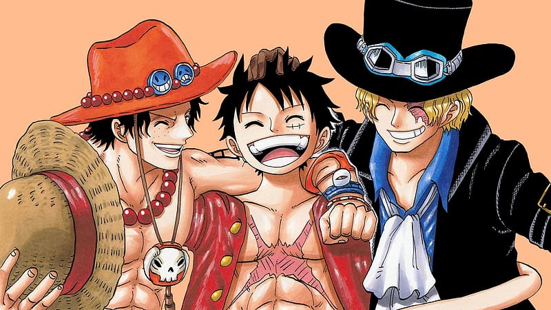 Anime, Portgas D Ace, One Piece, Monkey D Luffy, Sabo (One Piece), HD wallpaper