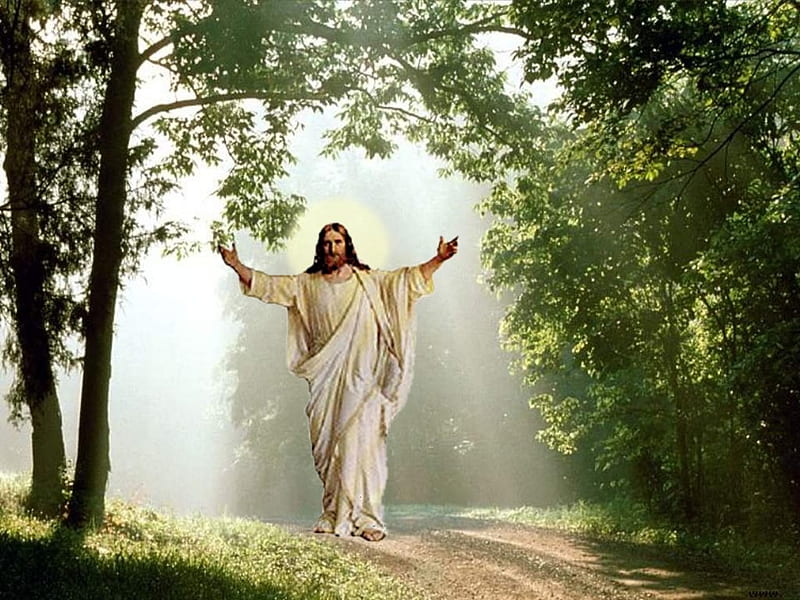 He is alive and with us!!!!!, risen, christ, jesus, path, nature, religion,  god, HD wallpaper | Peakpx