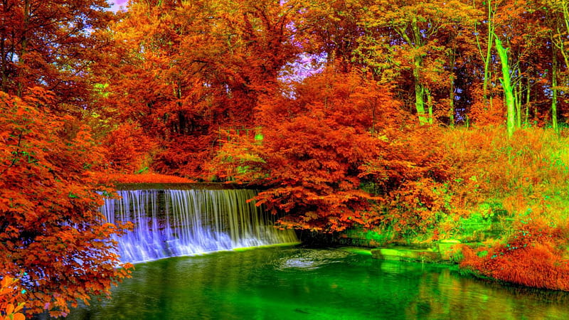 waterfalls on the yarrow river in bright autumn colors r, forest, autumn, colors, river, r, waterfalls, HD wallpaper
