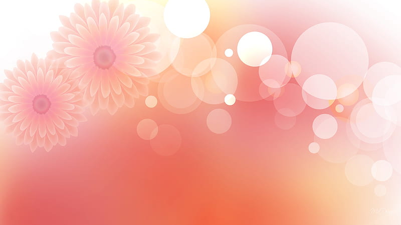Floral Bubbles, tangerine, orange, transparent, coral, firefox persona, abstract, fade, bubbles, flowers, pink, HD wallpaper