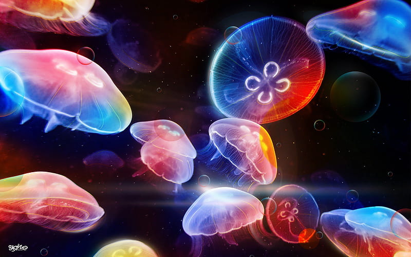 Underwater Jellyfishes, underwater, creative, HD wallpaper