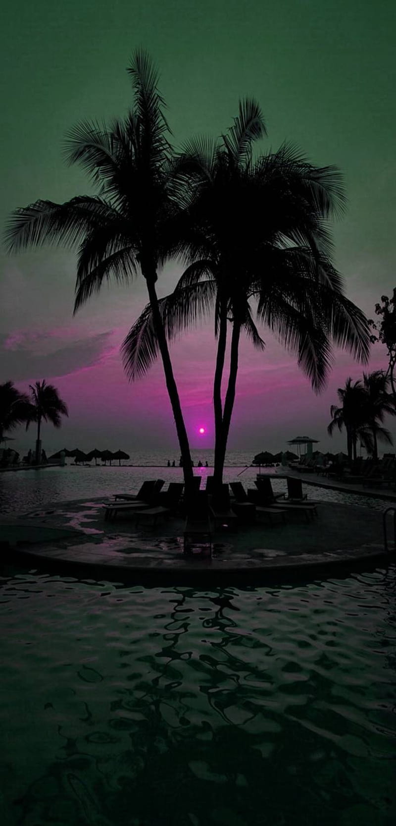 beach sunset, palms, nature, natural, island, pink, bonito, tropical, garden, 2019, HD phone wallpaper