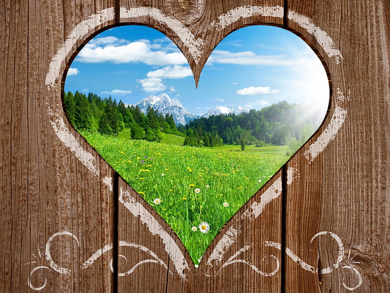 Love Of Nature, cute, forest, green, heart, sky, wood, HD wallpaper