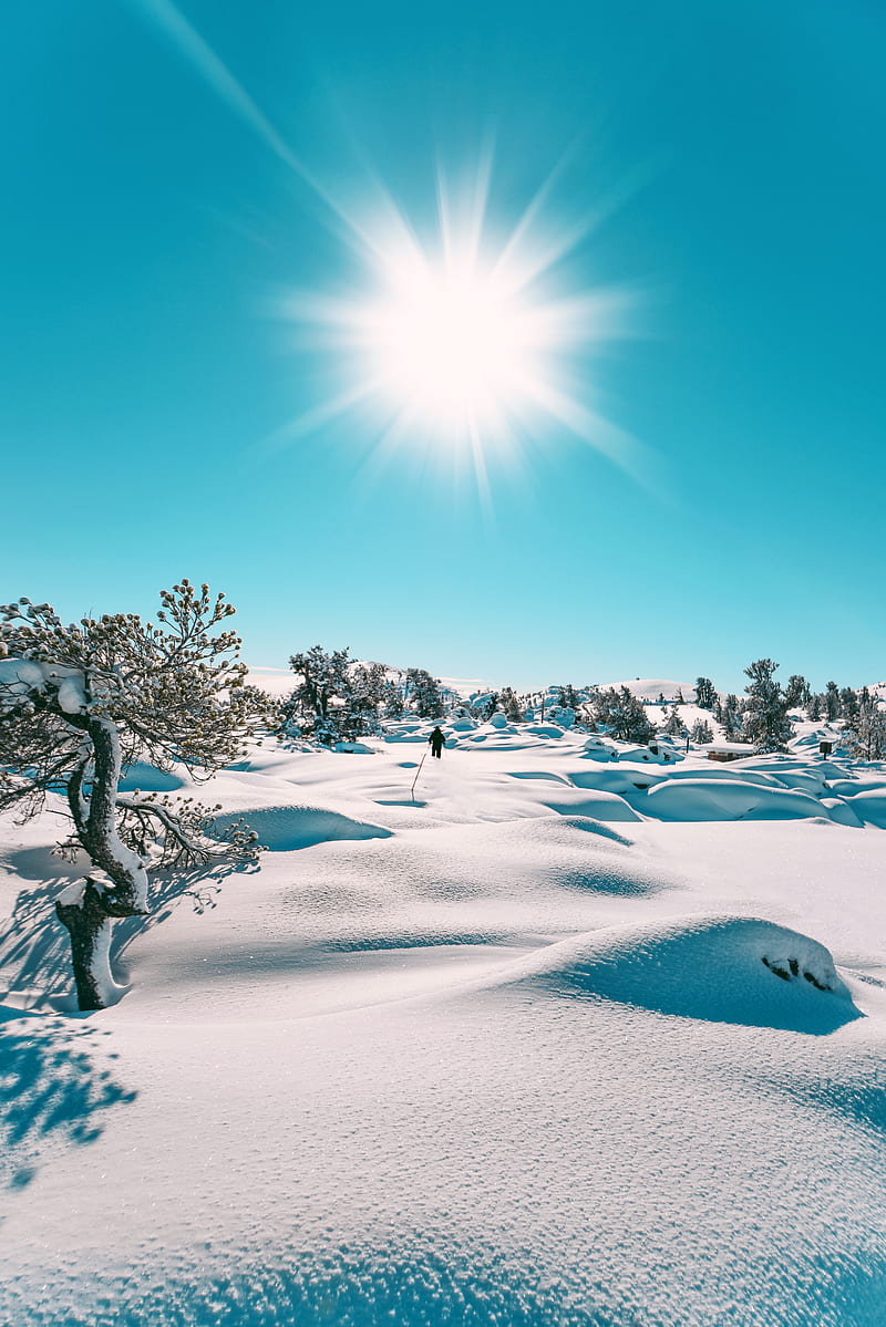 snow, sun, landscape, winter, HD phone wallpaper