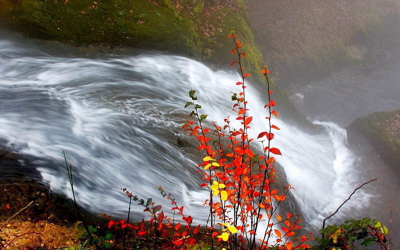 waterfall leaves fall-Nature, HD wallpaper