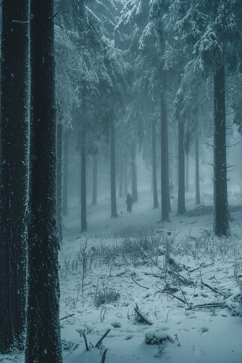 forest, winter, fog, snow, people, silhouettes, HD phone wallpaper