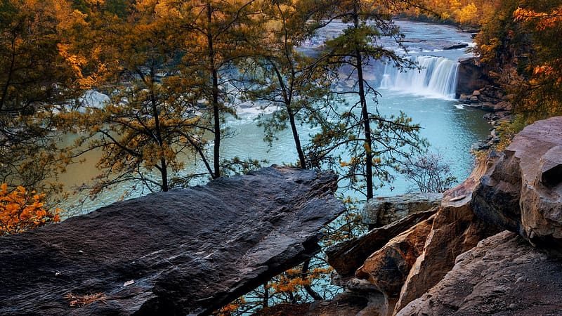 Cumberland Falls, Kentucky, usa, river, landscape, cascades, trees, rocks, HD wallpaper