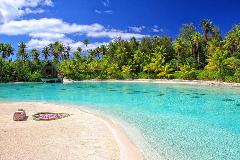 Aqua Blue Lagoon Bora Bora, polynesia, sandbank, sea, palm trees, beach, turquoise, lagoon, bora bora, sand, love, aqua, blue, exotic, islands, ocean, paradise, heart, island, tahiti, tropical, HD wallpaper