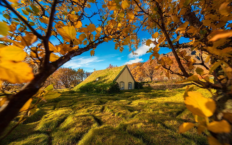 iceland, church, autumn, fall, leaves, field, Nature, HD wallpaper