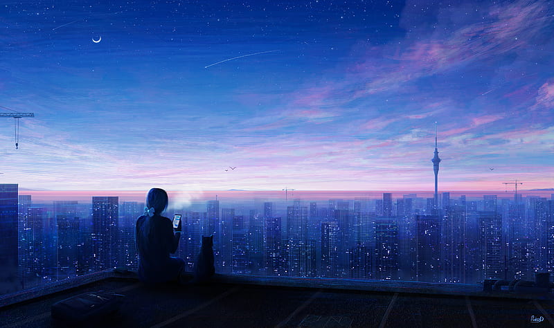 Anime, Girl, Cat, Night, City, HD wallpaper | Peakpx