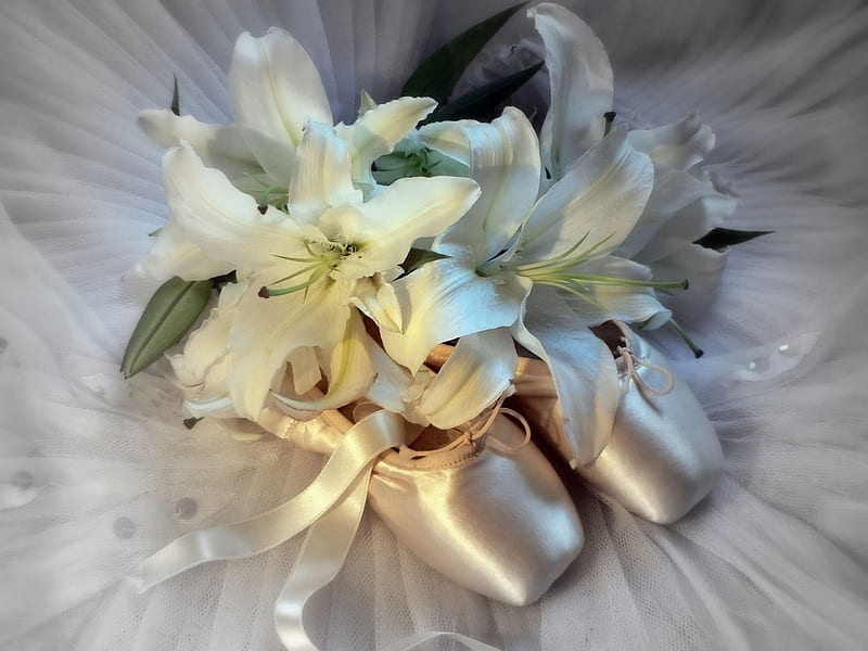 still life, pretty, bonito, silk, graphy, nice, gentle, ballet, flowers, harmony, art, lovely, satin, music, lilies, elegantly, cool, bouquet, flower, lily, white, shoes, HD wallpaper