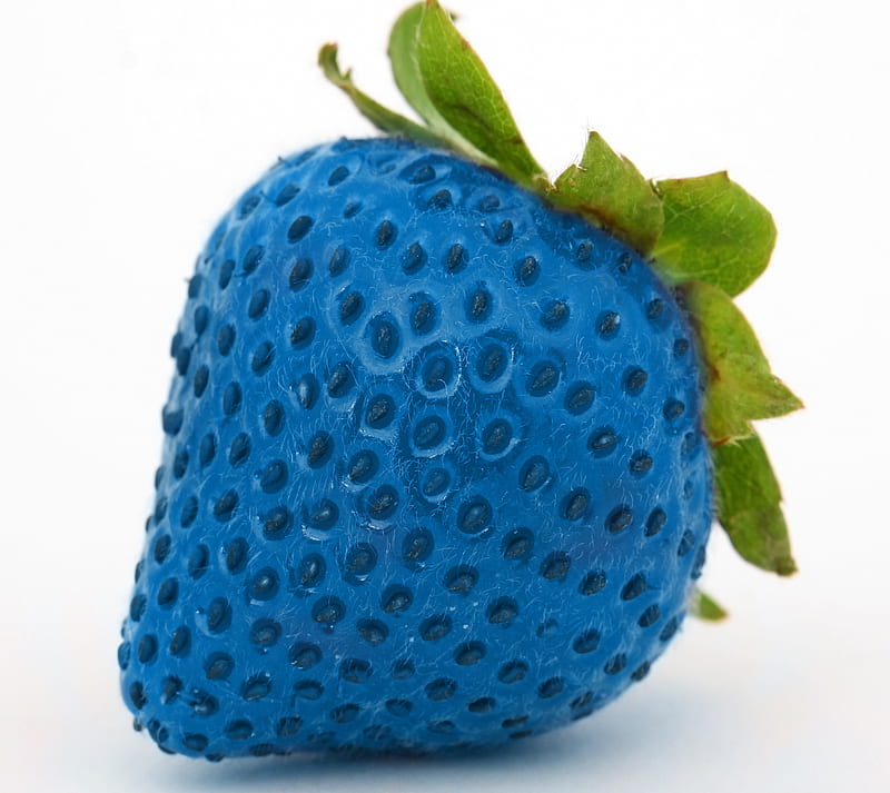 blu strawberry, berry, blue, cute, fruit, HD wallpaper