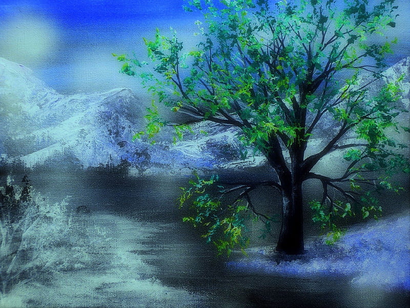 Green Tree in the Winter , stream, draw and paint, attractions in dreams, bonito, clouds, green, landscapes, heaven, forests, surreal, scenery, traditional art, colors, love four seasons, creative pre-made, sky, trees, winter, cool, snow, mountains, plants, nature, HD wallpaper