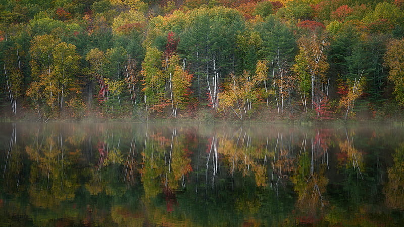 Foliage Lake With Trees Reflection Nature, HD wallpaper | Peakpx