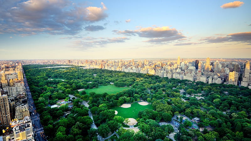 Central Park New York, parks, new york, city, graphy, central park, landscapes, nature, HD wallpaper