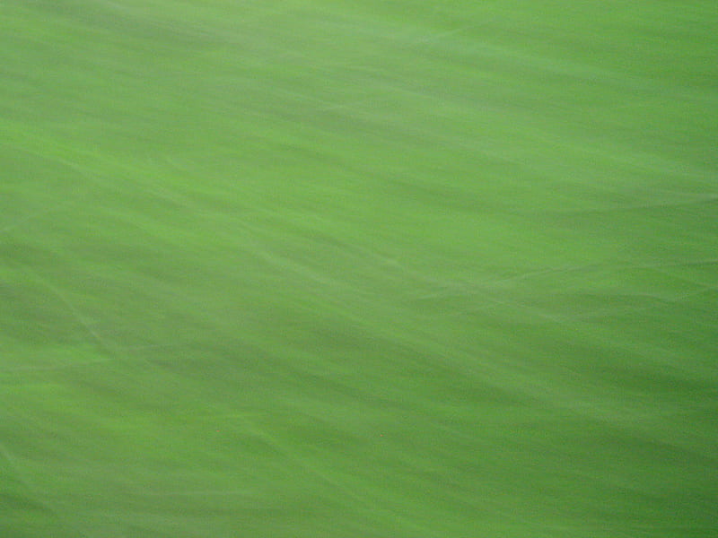 Abstract motion blur of trees outside bus window, blur, tree, motion, green, HD wallpaper