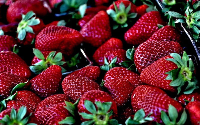 strawberry, berries, fruit, macro, strawberries, HD wallpaper