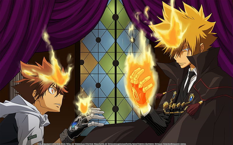 Showcase Mafia Boss (Future) / Tsunayoshi Sawada de REBORN no All