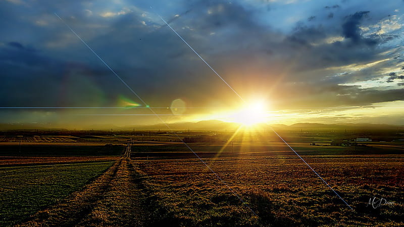 Sunset Flare, dawn, driveway, sunset, country, path, bright, sunrise, morning, farm road, night, field, HD wallpaper