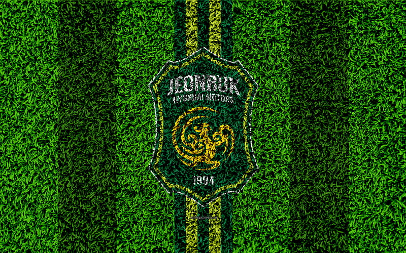 Jeonbuk Hyundai Motors FC logo, grass texture, South Korean football club, green lines, football lawn, K League 1, Jeonju, South Korea, football, HD wallpaper