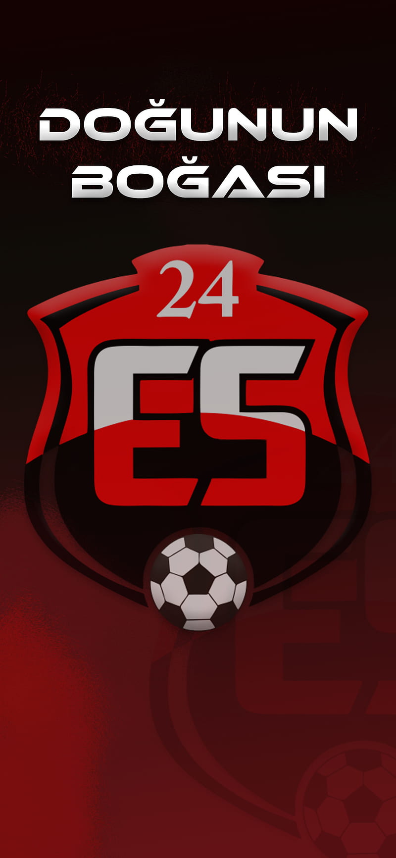 24 Erzincanspro, 24erzincanspor, black, erzincan, erzincanspor, football, red, zelzele, HD phone wallpaper