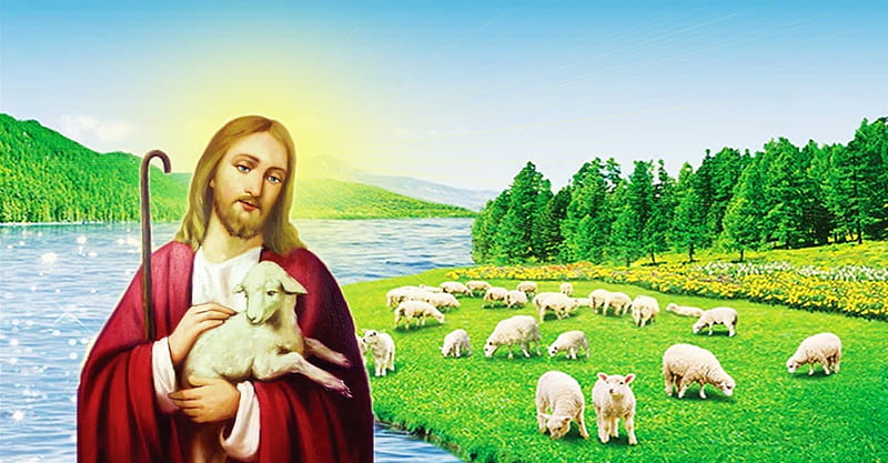 Good shepherd Jesus Christ, jesus, gospel, god, shepherd, christ, HD  wallpaper | Peakpx