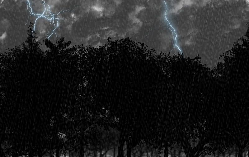Rain storm, forest, rain, storm, HD wallpaper