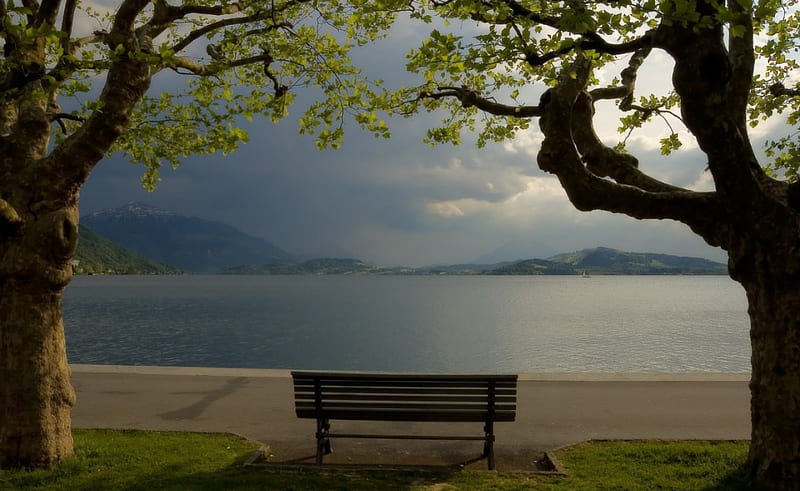A Spot to Think, tranquil, calm, footpath, mountains, bench seat, trees, lake, HD wallpaper