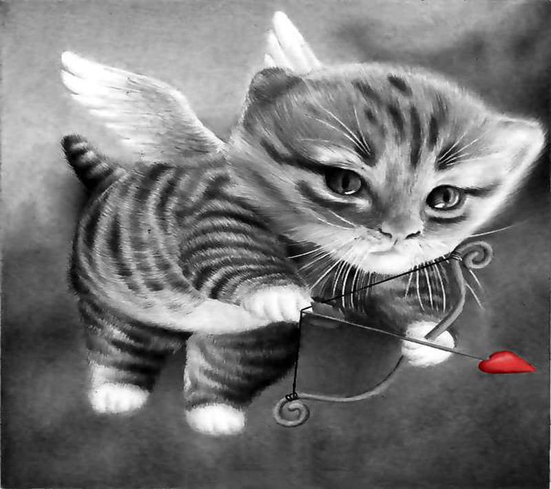 Cupid Cat, HD wallpaper