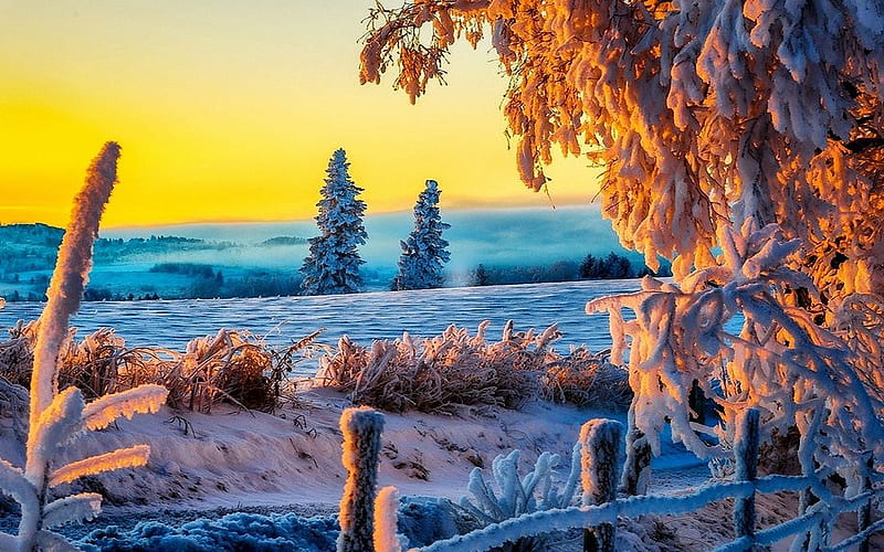 winter sunrise wallpaper
