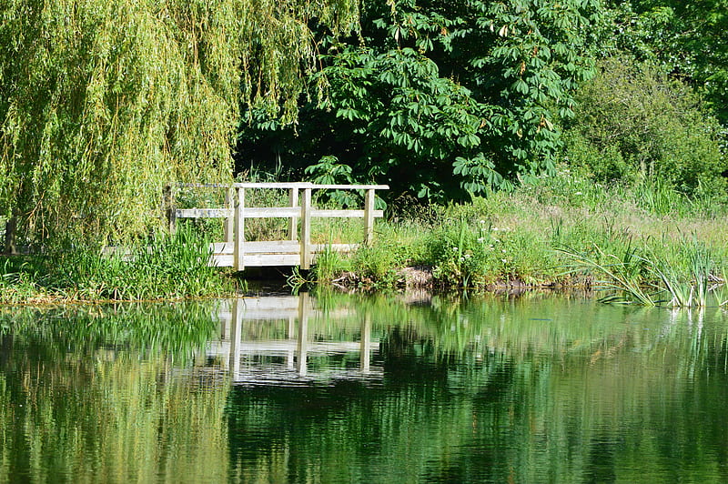 Footbridge over The Lake, water, reflection, trees, lake, HD wallpaper