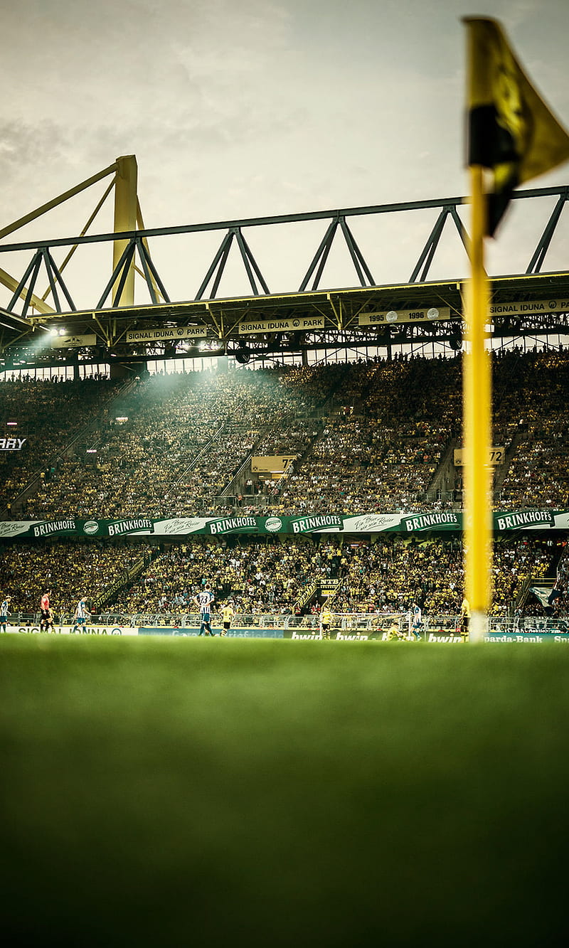Borussia Dortmund, bundesliga, german, germany, westfalenstadion, HD phone wallpaper