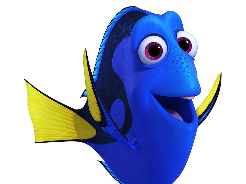 Finding Dory (2016), movie, fish, animation, yellow, finding dory, white,  blue, HD wallpaper | Peakpx