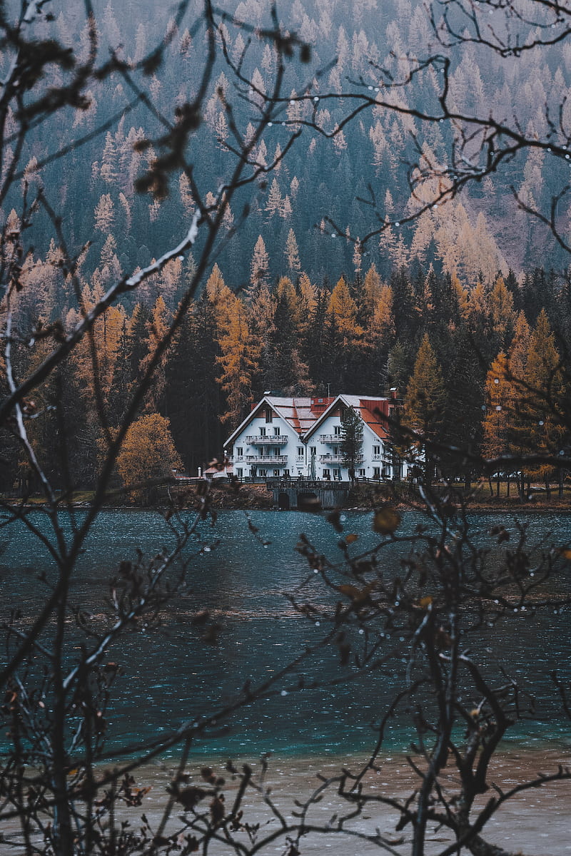 house, lake, branches, autumn, HD phone wallpaper